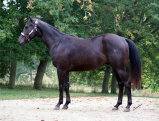 mesafarms4010002.jpg