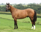 mesafarms4010012.jpg