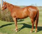 mesafarms4010013.jpg