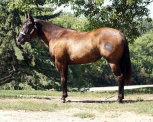 mesafarms4010014.jpg