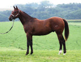 mesafarms4010015.jpg