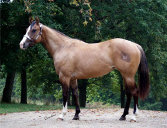 mesafarms4010016.jpg