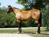 mesafarms4010029.jpg