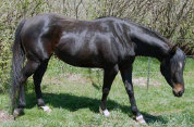 mesafarms4010035.jpg