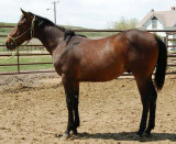 mesafarms4010036.jpg