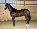 mesafarms4010037.jpg