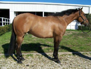 mesafarms4010038.jpg