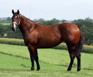 mesafarms4010056.jpg