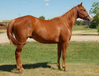 mesafarms4010065.jpg