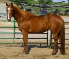 mesafarms4034002.jpg