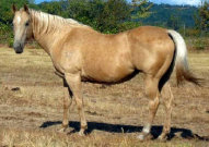 mesafarms4034017.jpg