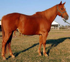 mesafarms4034021.jpg