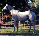 mesafarms4034022.jpg