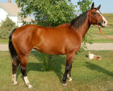 mesafarms4034024.jpg