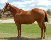 mesafarms4034025.jpg