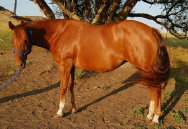 mesafarms4034038.jpg