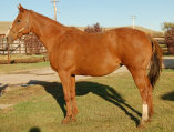 mesafarms4034039.jpg