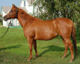 mesafarms4034041.jpg