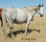 mesafarms4034044.jpg
