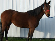 mesafarms4034045.jpg