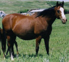mesafarms4064007.jpg