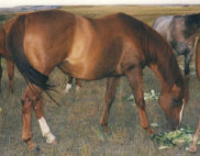 mesafarms4064014.jpg