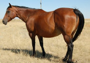 mesafarms4064025.jpg