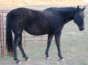mesafarms4064026.jpg