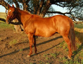 mesafarms4064034.jpg