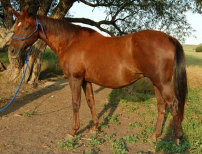 mesafarms4064037.jpg
