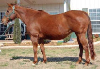 mesafarms4064038.jpg