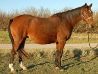 mesafarms4064044.jpg