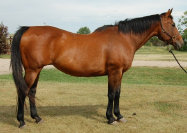 mesafarms4064045.jpg